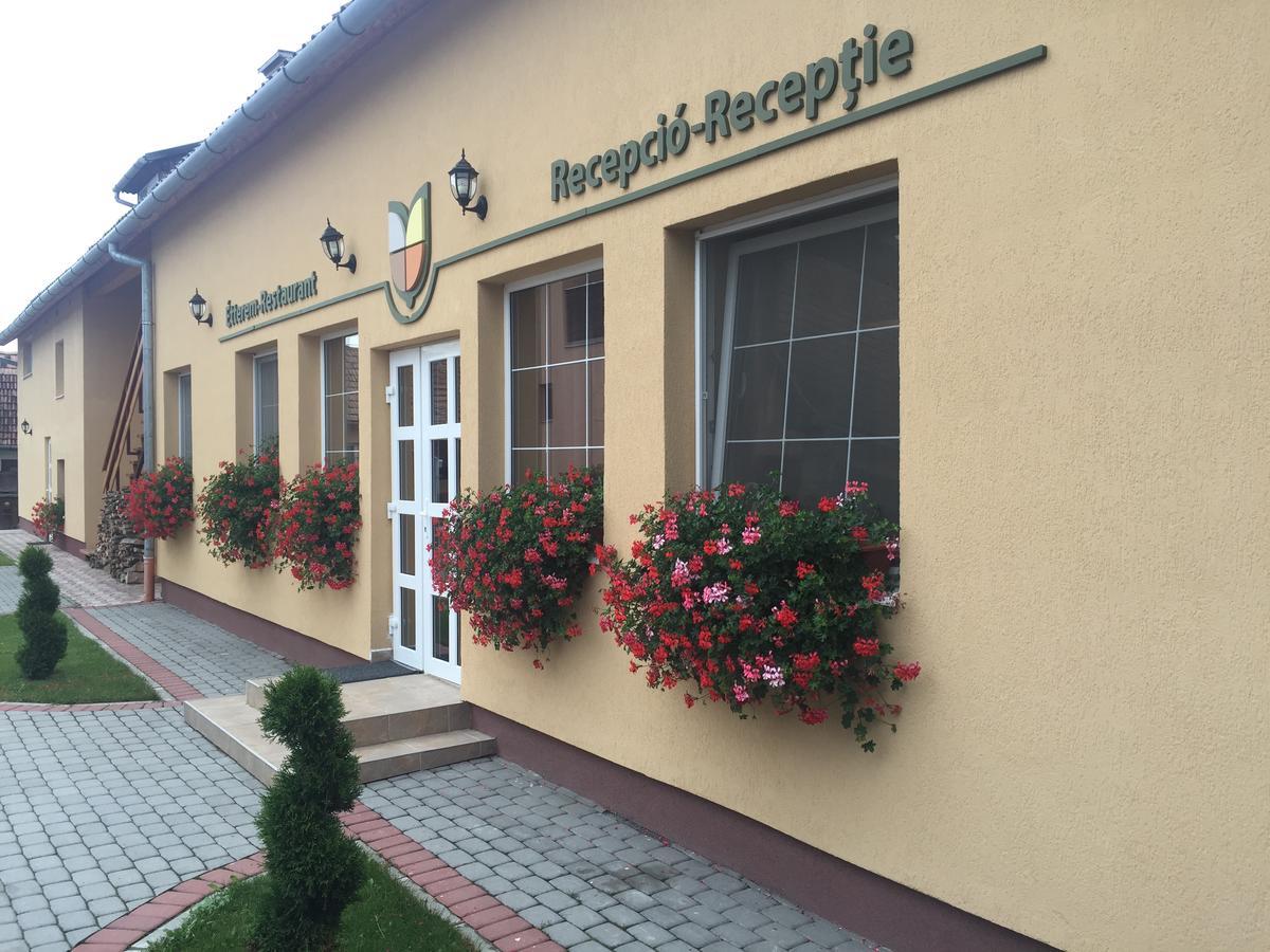 Gyongyvirag Panzio Bed & Breakfast Turia Ngoại thất bức ảnh