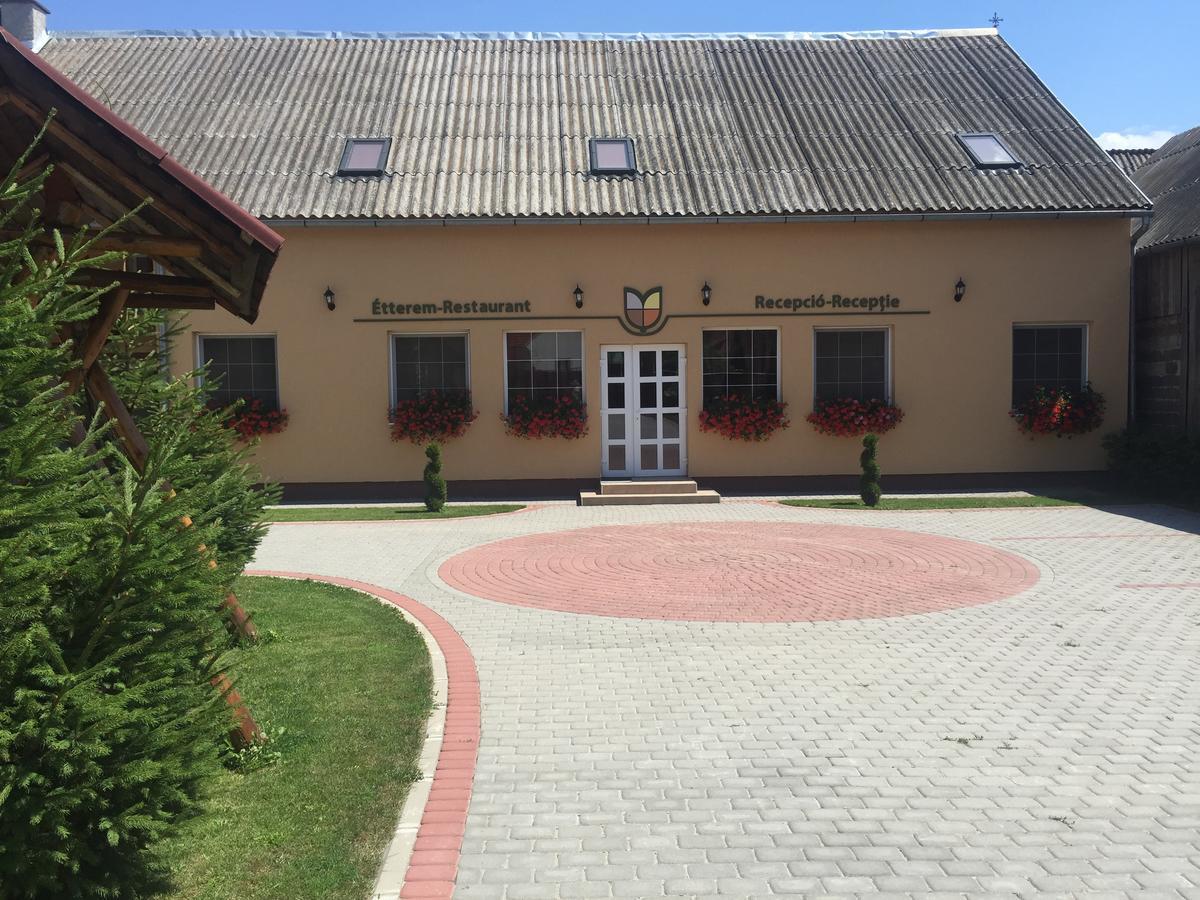 Gyongyvirag Panzio Bed & Breakfast Turia Ngoại thất bức ảnh